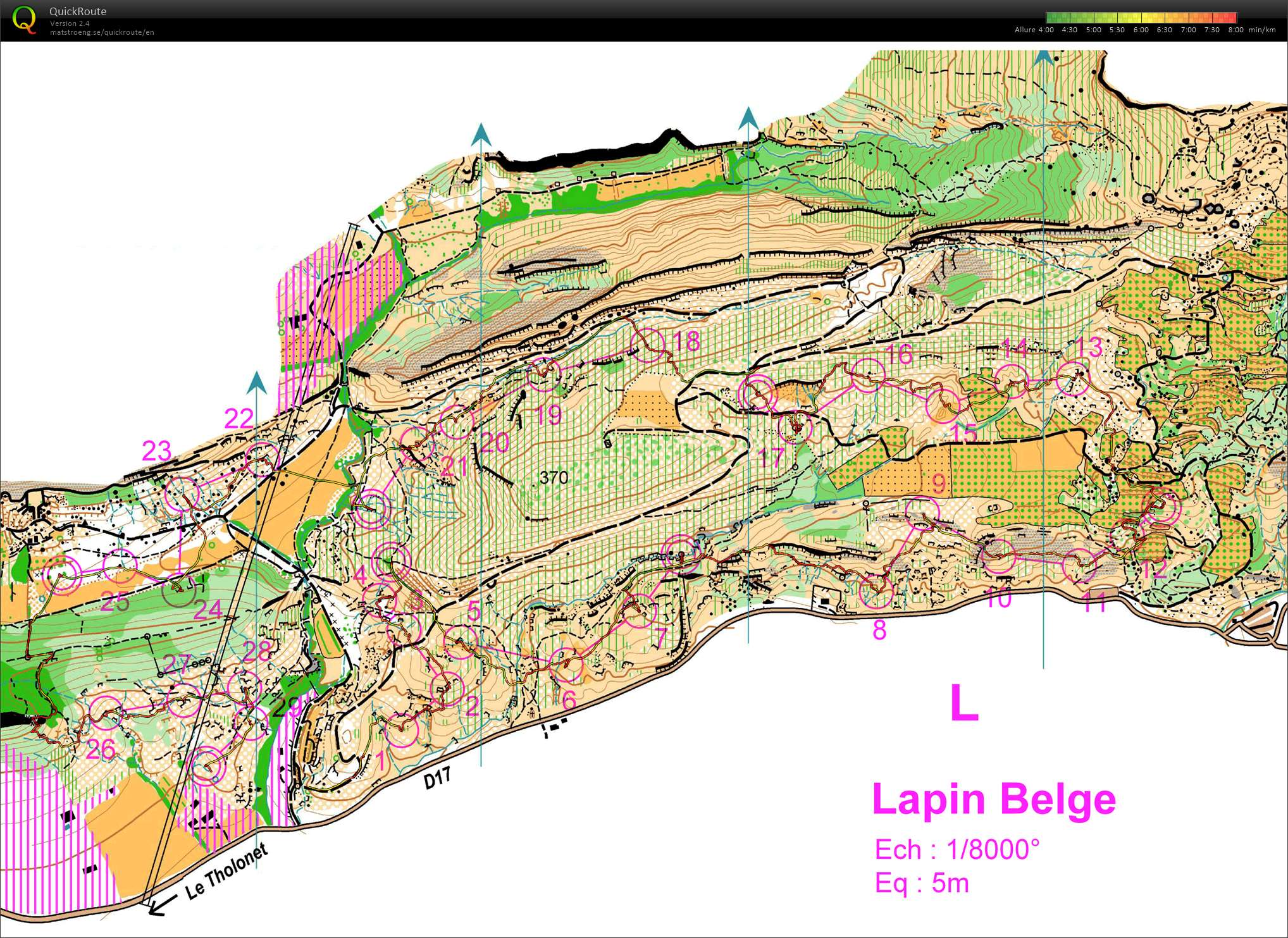 Lapin Belge (10.03.2014)