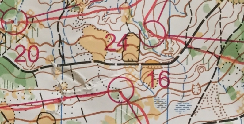 World Cup Middle